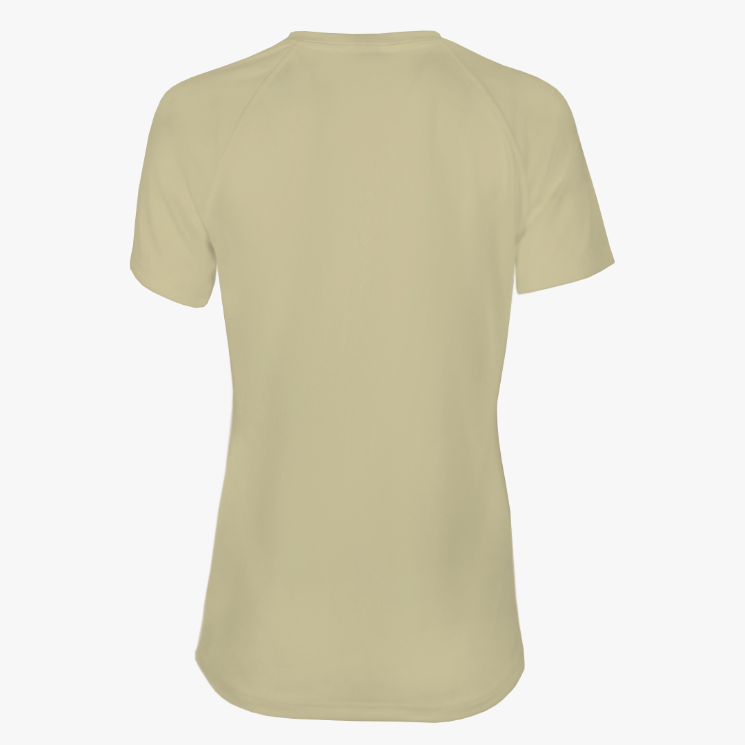 #E117 / Basic Training Women's V-Neck Raglan Tee