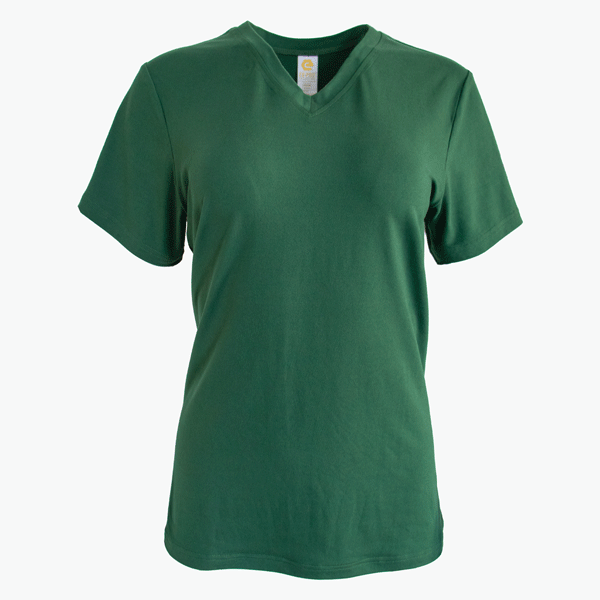 #V171 / Velvet Jersey Women’s V-Neck Tee