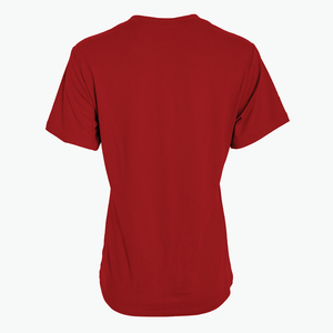 #V171 / Velvet Jersey Women’s V-Neck Tee