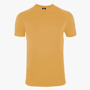 #E104 / Basic Training Men's Crew Neck Raglan Tee