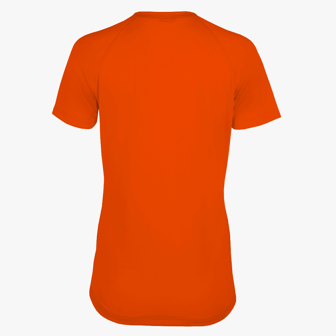 #E117 / Basic Training Women's V-Neck Raglan Tee