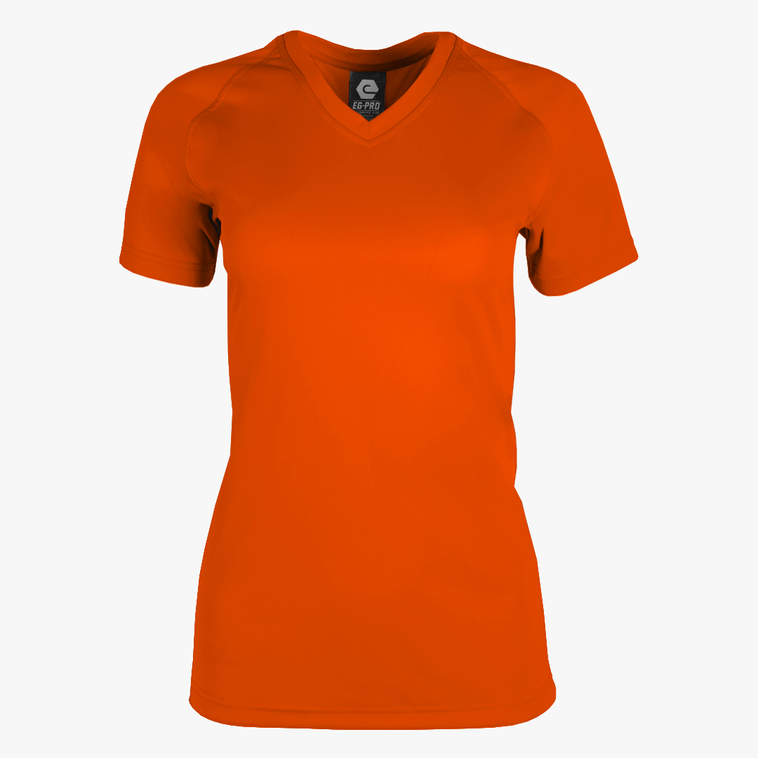 #E117 / Basic Training Women's V-Neck Raglan Tee