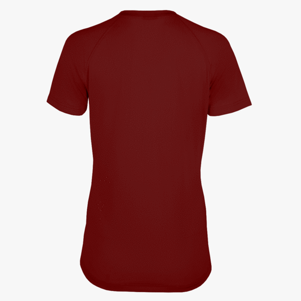 #E117 / Basic Training Women's V-Neck Raglan Tee