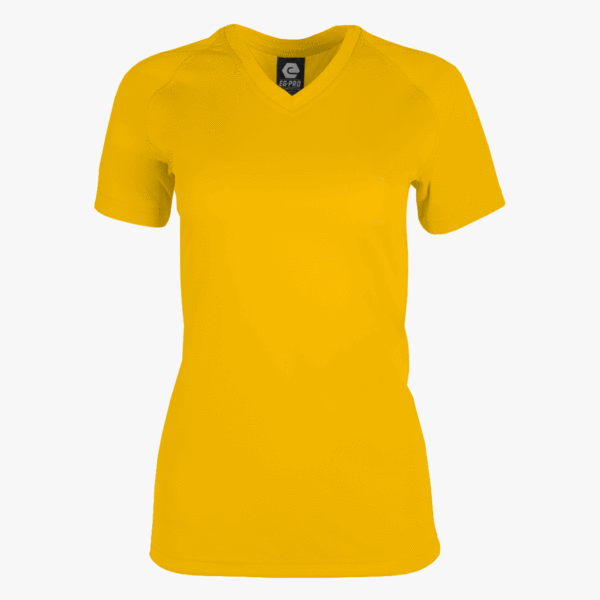 #E117 / Basic Training Women's V-Neck Raglan Tee