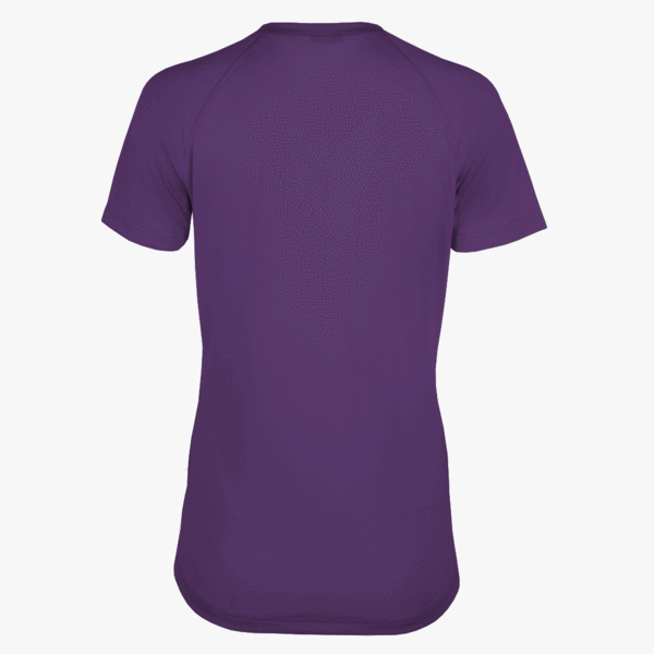 #E117 / Basic Training Women's V-Neck Raglan Tee