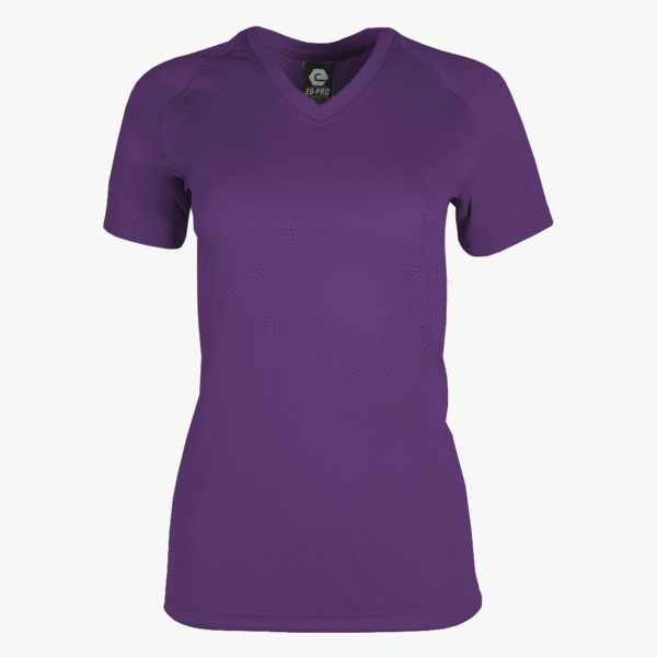 #E117 / Basic Training Women's V-Neck Raglan Tee