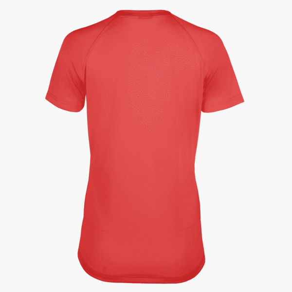 #E117 / Basic Training Women's V-Neck Raglan Tee