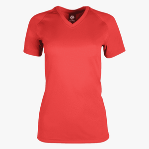 #E117 / Basic Training Women's V-Neck Raglan Tee