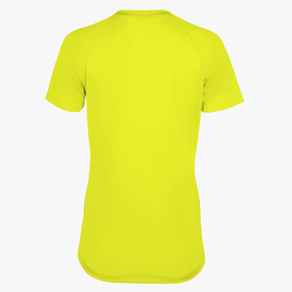 #E117 / Basic Training Women's V-Neck Raglan Tee