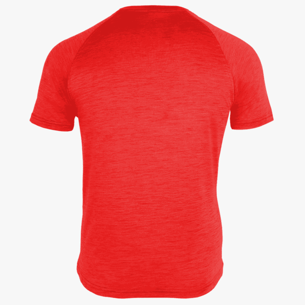 #L127 / Imperial Space Dye Men's Crew Neck Tee