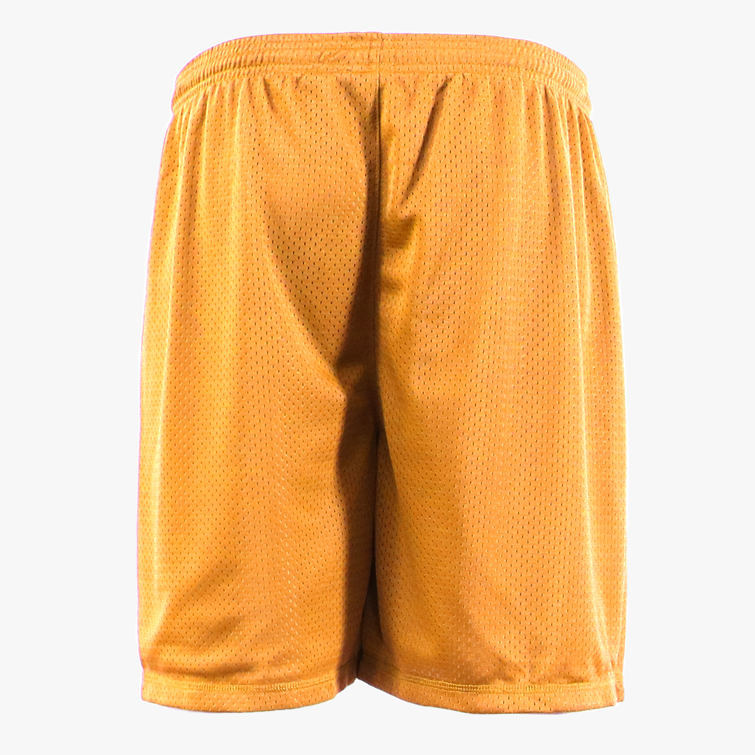 #P336 / Aero Mesh Men's P.E Short (7" Inseam)