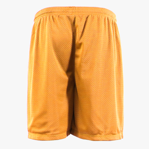 #P336 / Aero Mesh Men's P.E Short (7" Inseam)