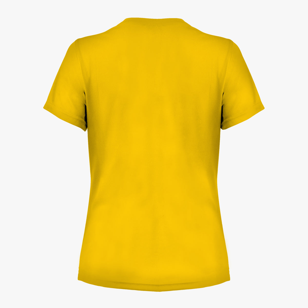 #E165 / Basic Training Women&#39;s V-Neck Tee (Set-In Sleeves)