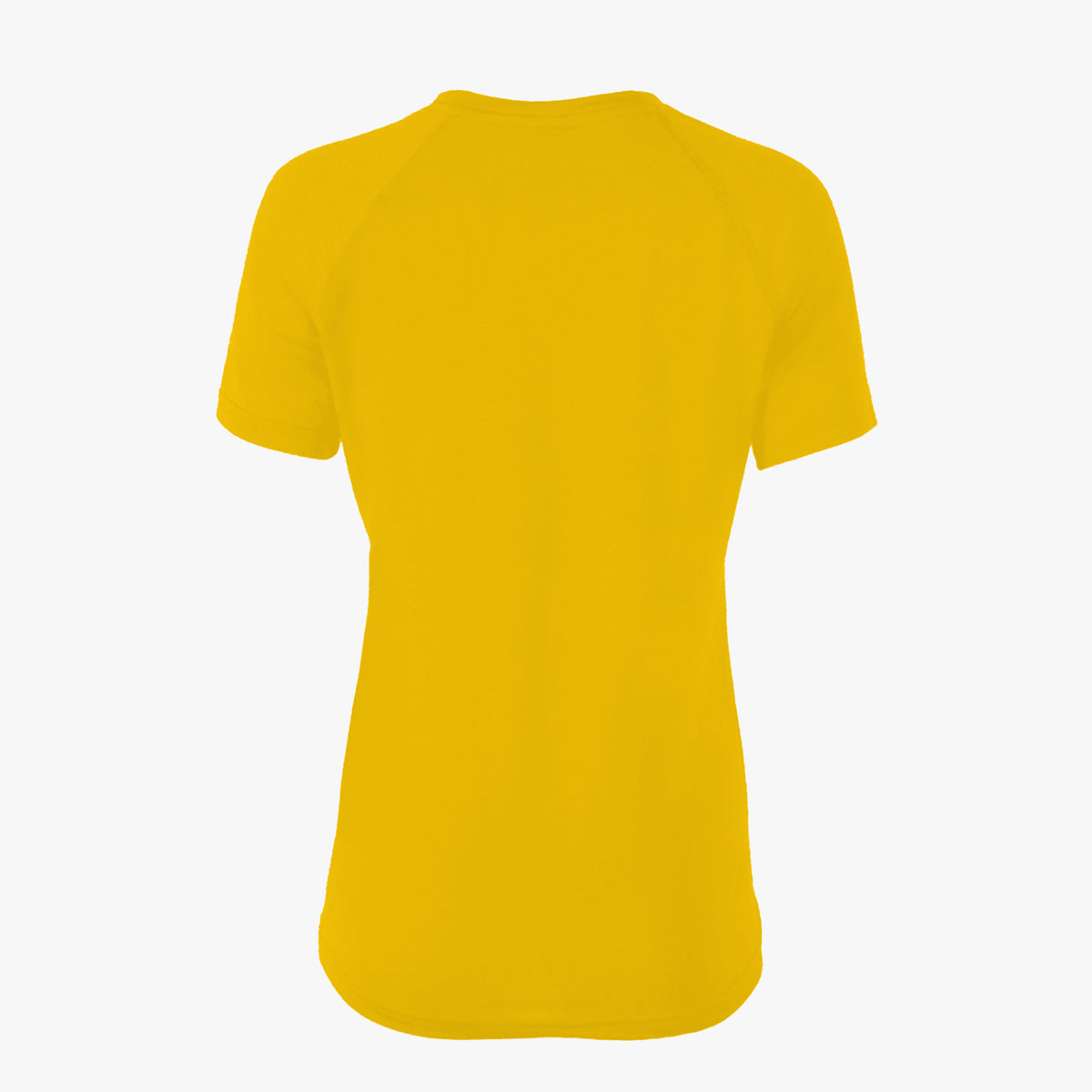 #H123 / Varsity Women&#39;s V-Neck Tee